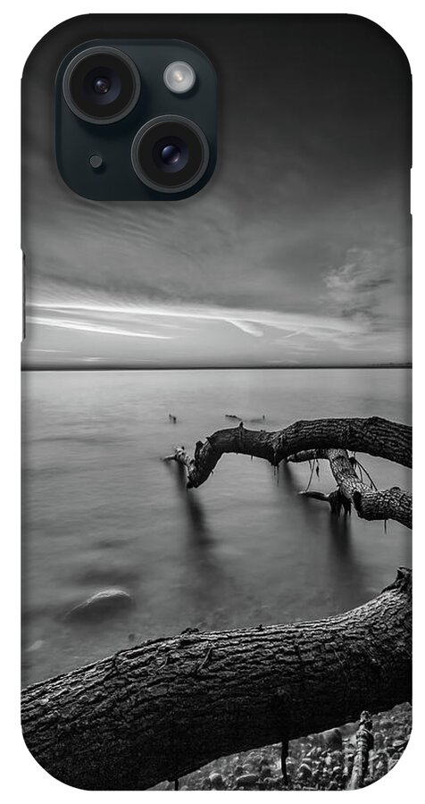 Andrew Slater Photography iPhone Case featuring the photograph Branching Out - BW by Andrew Slater