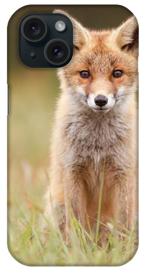 Red Fox iPhone Case featuring the photograph Brave New Fox Kit by Roeselien Raimond