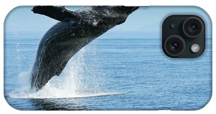Alaska iPhone Case featuring the photograph Breaching Humpback Whale by Dorothy Darden