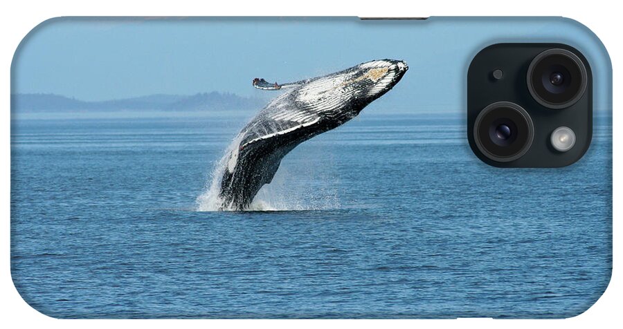 Alaska iPhone Case featuring the photograph Breaching humpback whales Happy-3 by Steve Darden