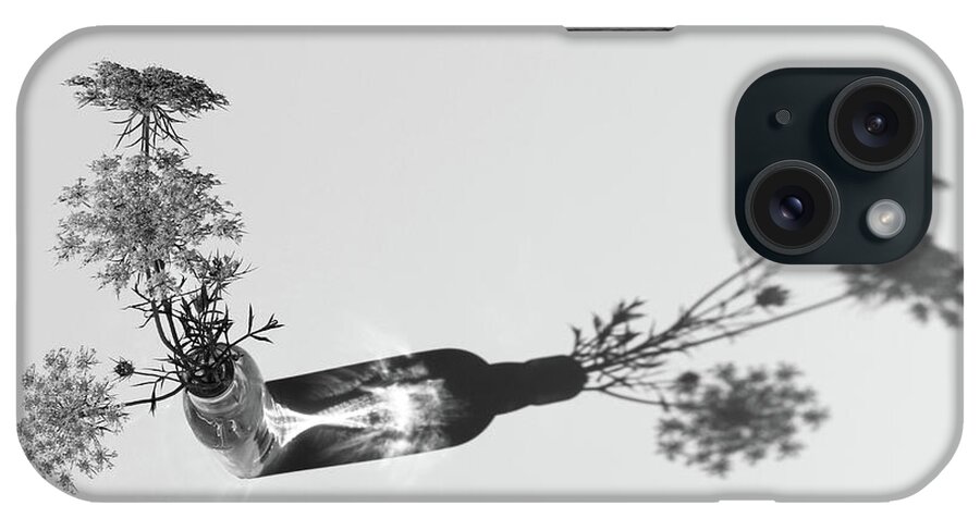 Queen Annes Lace iPhone Case featuring the photograph Breaking the Rules by Holly Ross