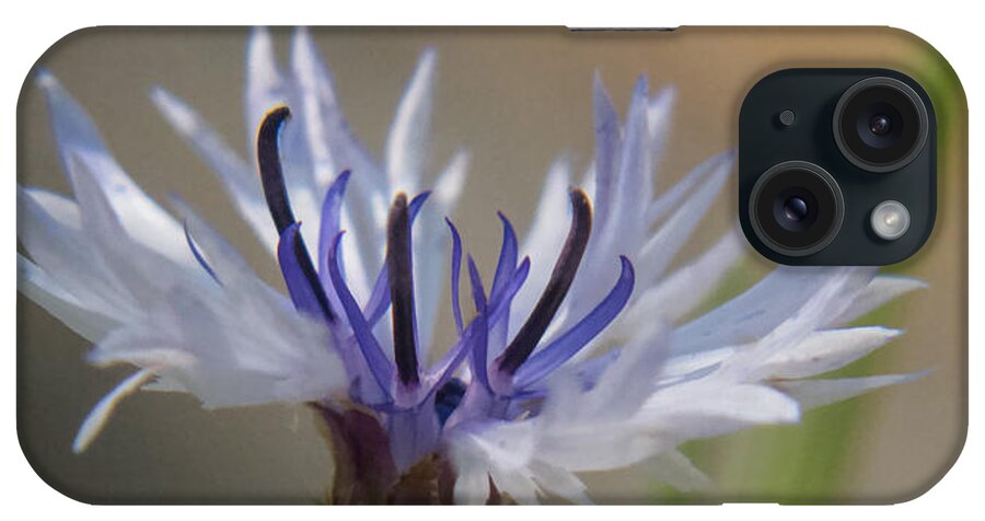 Nature iPhone Case featuring the photograph Breathing by Susan Eileen Evans