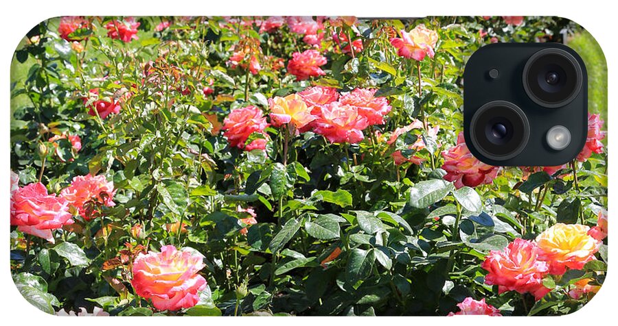 Rose iPhone Case featuring the photograph Bright Rose Garden by Carol Groenen