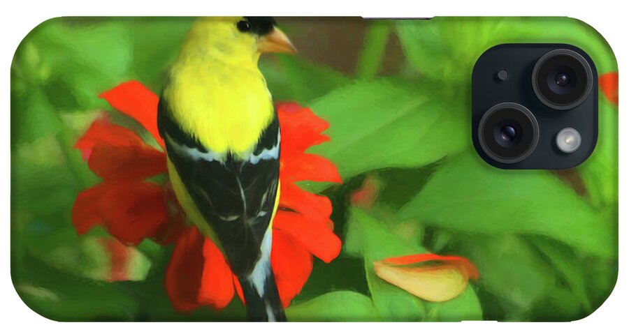American Goldfinch iPhone Case featuring the photograph Feathery Droplet of Sunshine by Ola Allen