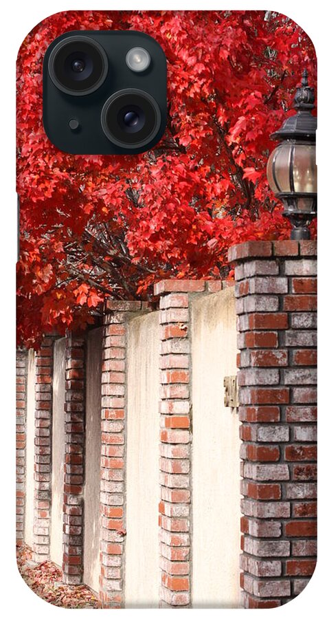 Fall iPhone Case featuring the photograph Brilliant Fall by Jeff Floyd CA