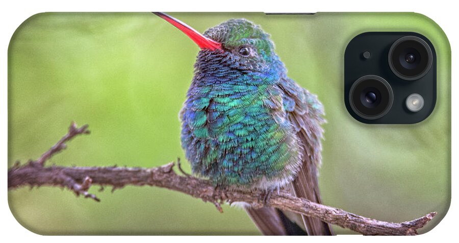 Broad iPhone Case featuring the photograph Broad-billed Hummingbird 3652 by Tam Ryan