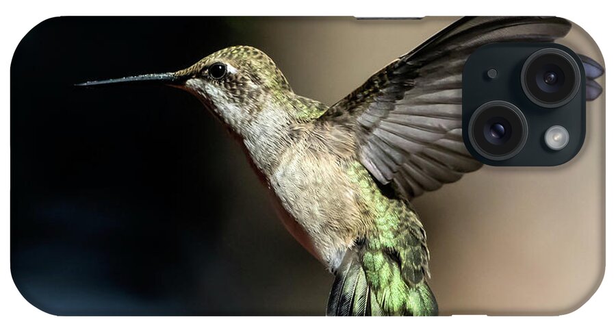 Broad-tailed Hummingbird iPhone Case featuring the photograph Broad-tailed Hummingbird Female by Dawn Key