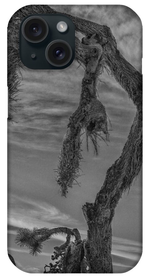 Joshua Tree iPhone Case featuring the photograph Broken Back by Sandra Selle Rodriguez