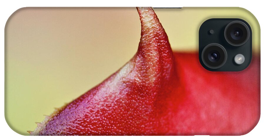 Leaf iPhone Case featuring the photograph Bromeliad by Heiko Koehrer-Wagner