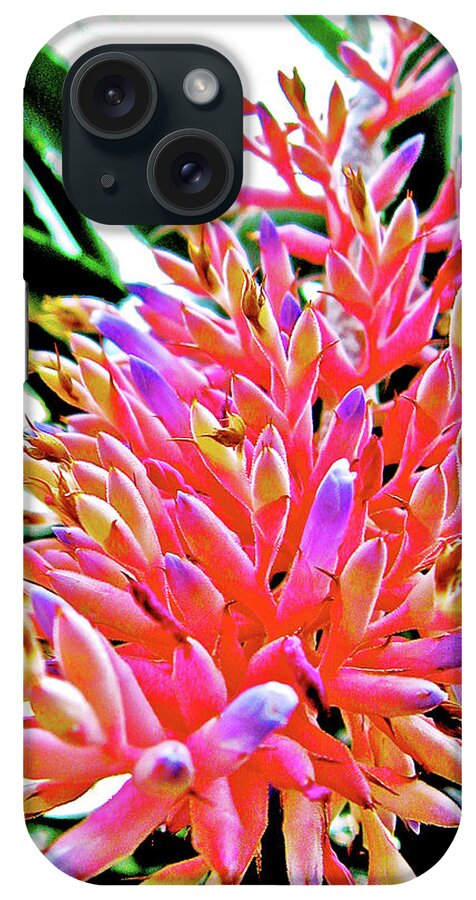 Bromeliad In National Botanical Garden iPhone Case featuring the photograph Bromeliad in National Botanical Garden, Washington DC by Ruth Hager