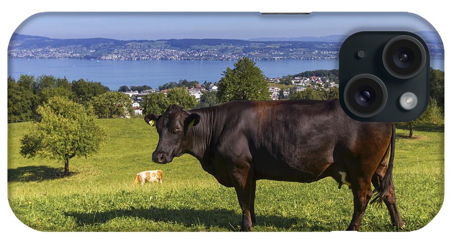 Cow iPhone Case featuring the photograph Brown cow and Zurich lake, Switzerland by Elenarts - Elena Duvernay photo
