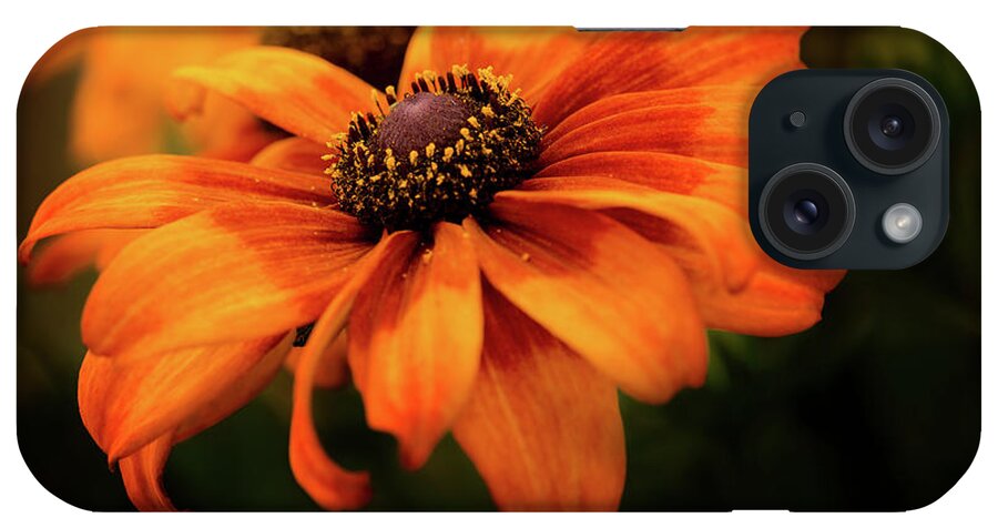 Orange iPhone Case featuring the photograph Brown Eyed Susan by Mary Jo Allen