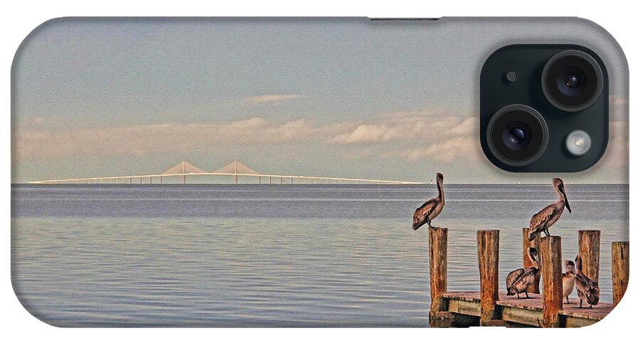 Sunshine Skyway Bridge iPhone Case featuring the photograph Brown Pelican Five by HH Photography of Florida