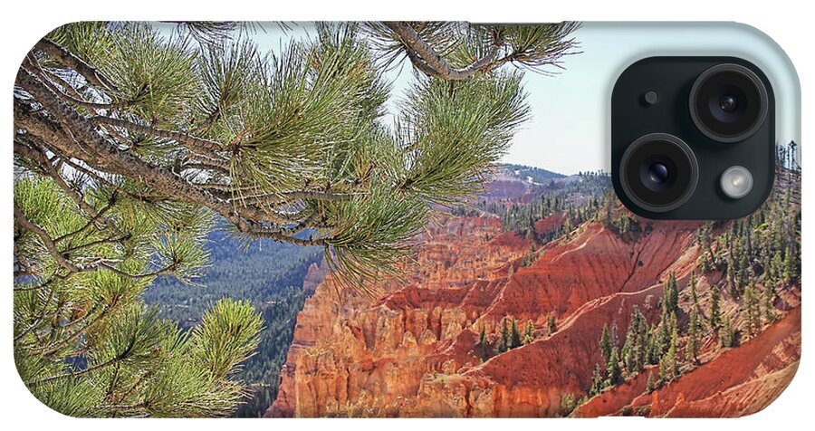 Bryce Canyon iPhone Case featuring the photograph Bryce Canyon National Park Pinyon Pine by Jennie Marie Schell