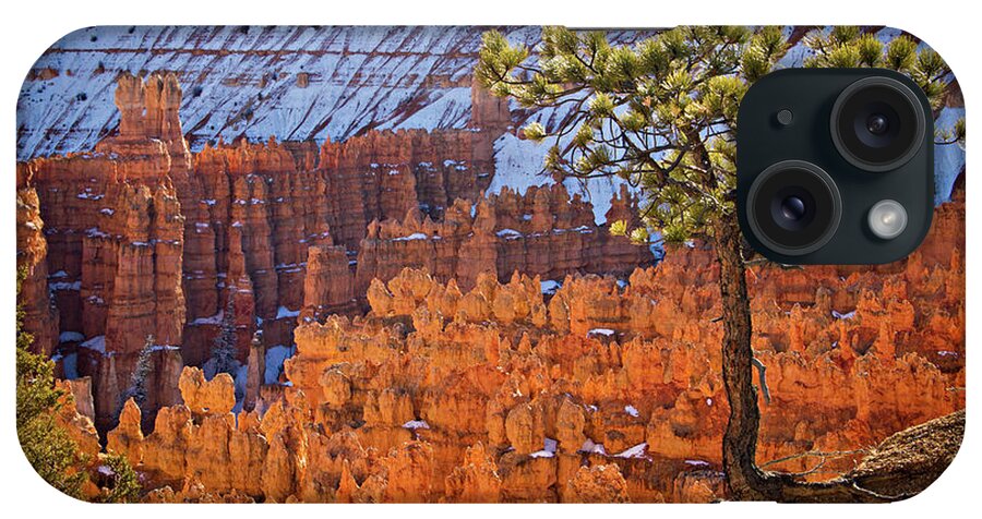 Bryce Canyon iPhone Case featuring the photograph Bryce Canyon by Wesley Aston