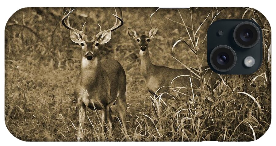 Buck And Doe In Sepia iPhone Case featuring the photograph Buck and Doe in Sepia by Michael Tidwell