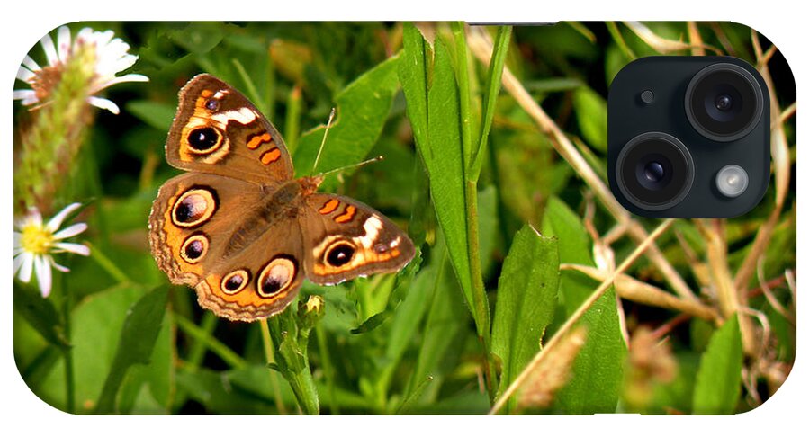 Butterfly iPhone Case featuring the photograph Buckeye Butterfly in Nature by Rosalie Scanlon