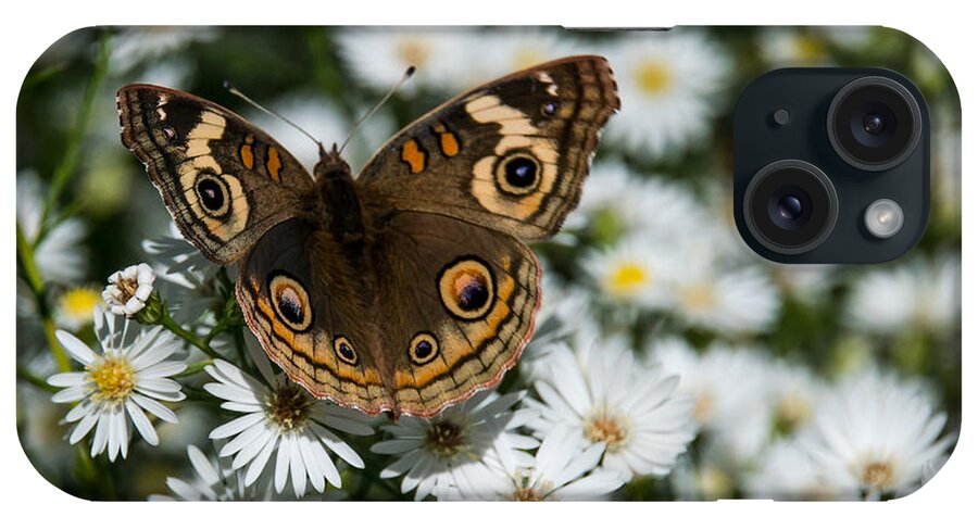 Buckeye iPhone Case featuring the photograph Buckeye Butterfly on Heath Aster by Mick Anderson