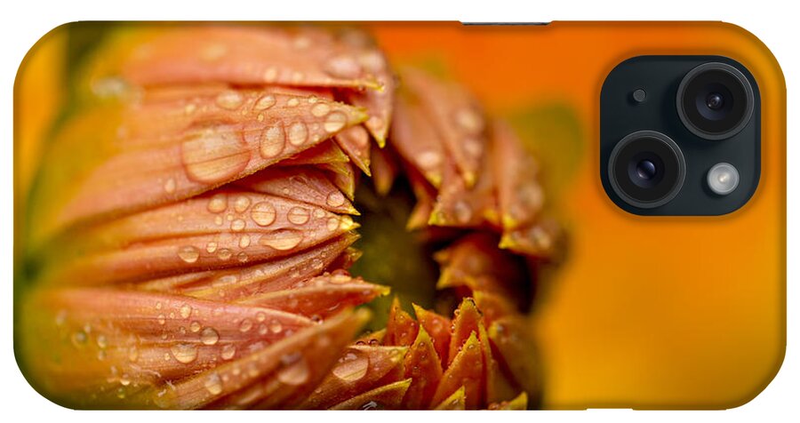 Dahlia iPhone Case featuring the photograph Bud Drops by Mary Jo Allen
