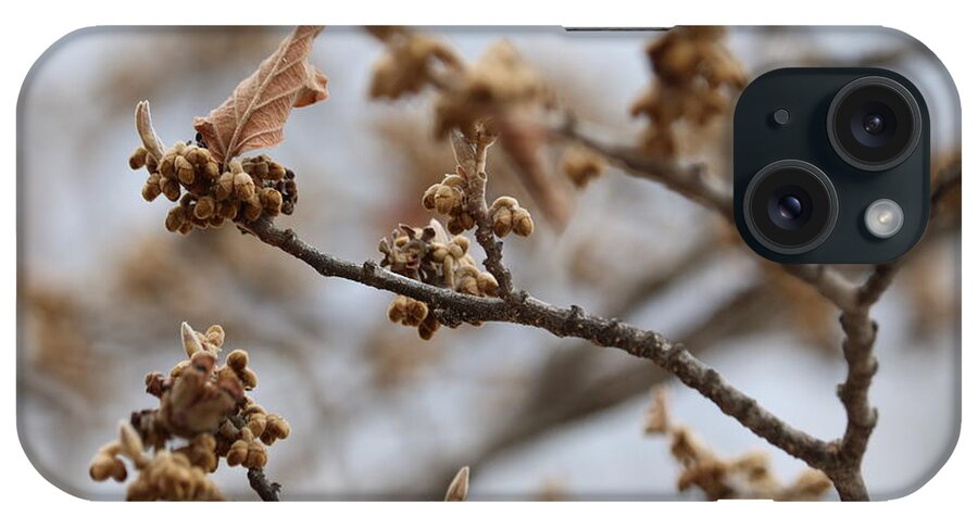 Gray iPhone Case featuring the photograph Buds on Winter Branch in Brown and Gray by Carol Groenen
