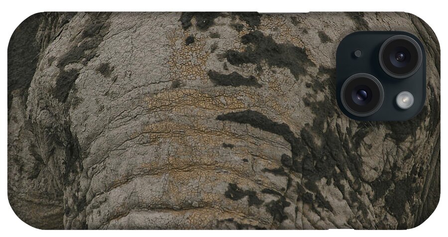 Gary Hall iPhone Case featuring the photograph Bull Elephant Close-up by Gary Hall