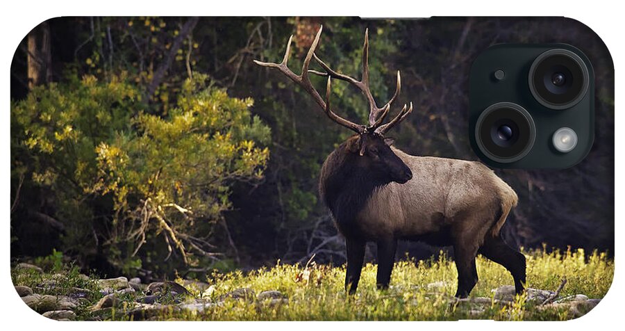Bull Elk iPhone Case featuring the photograph Bull Elk Checking for Competition by Michael Dougherty