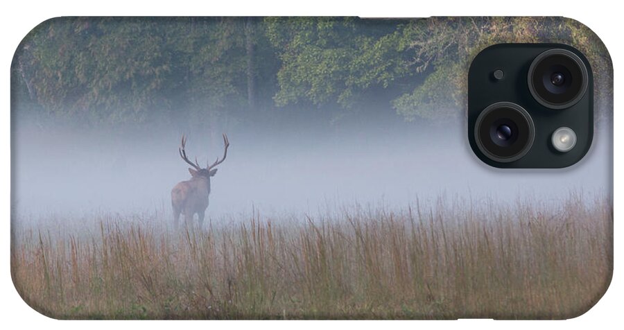 Elk iPhone Case featuring the photograph Bull Elk Disappearing in Fog - September 30 2016 by D K Wall