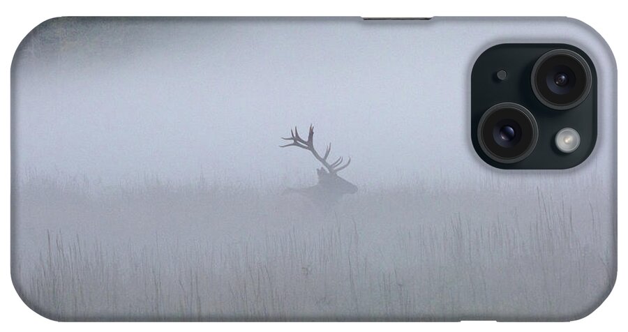 Elk iPhone Case featuring the photograph Bull Elk in Fog - September 30, 2016 by D K Wall