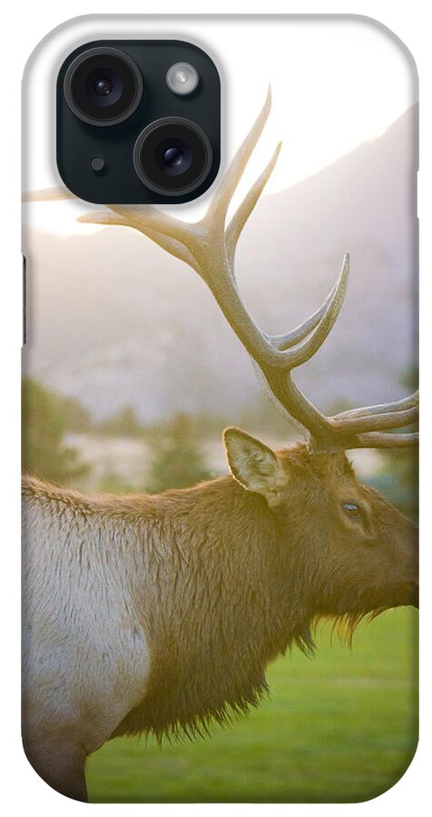 Elk iPhone Case featuring the photograph Bull Elk Profile by James BO Insogna