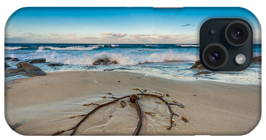 Ca iPhone Case featuring the photograph Bull Kelp by David Downs