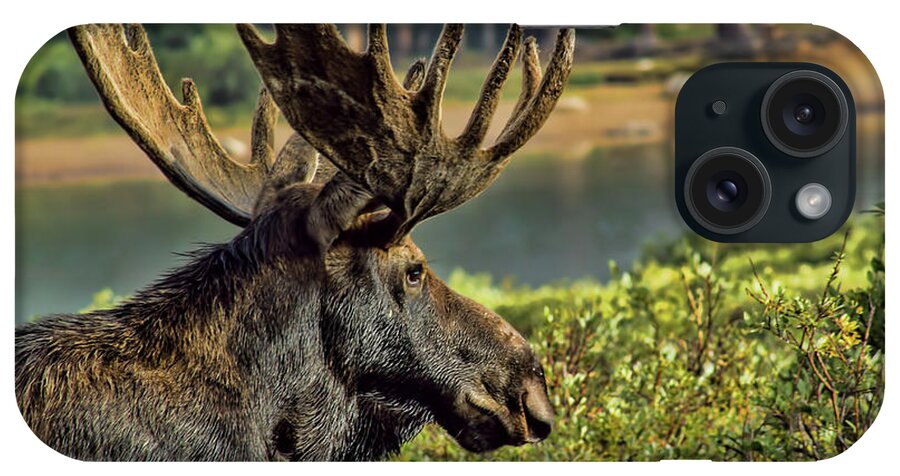 Moose iPhone Case featuring the photograph Bull Moose by Steven Parker