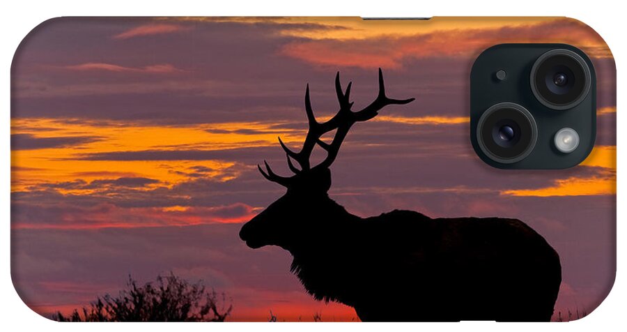 Animal iPhone Case featuring the photograph Bull Tule Elk Silhouetted at Sunset by Jeff Goulden