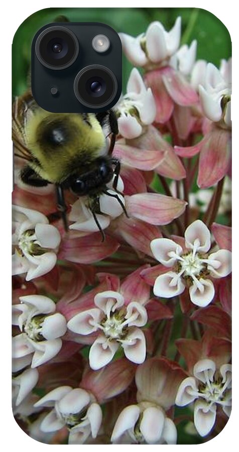 Insect iPhone Case featuring the photograph Bumble Bee by Carl Moore
