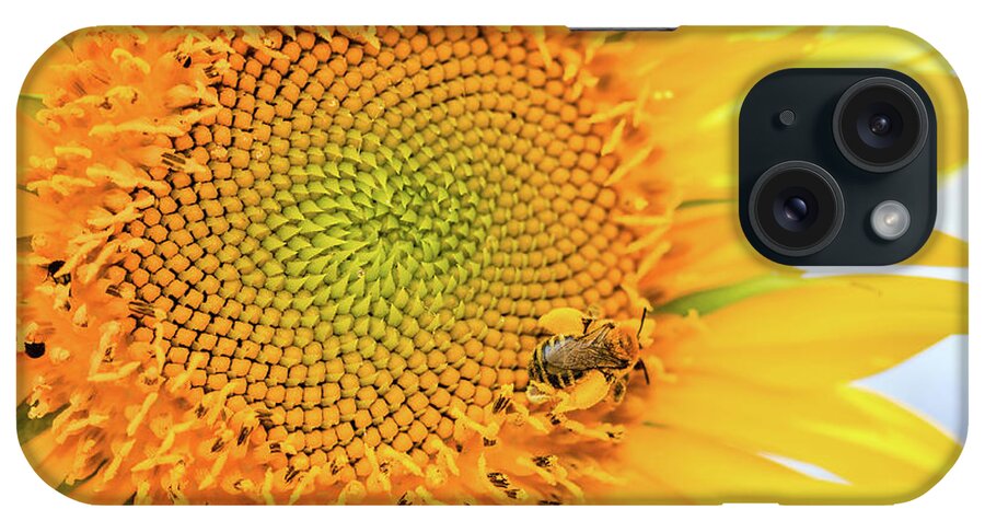 Backyard iPhone Case featuring the photograph Bumble Bee with Pollen Sacs by Joni Eskridge
