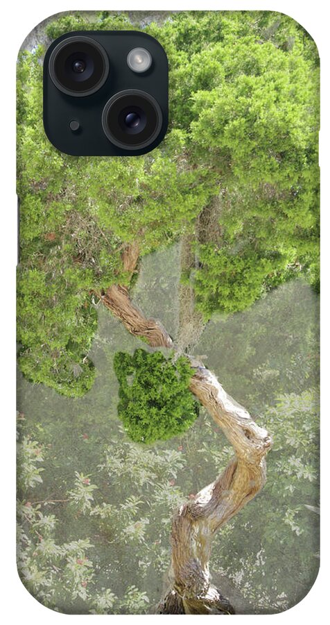 Tree iPhone Case featuring the photograph Bunny Tree by Rosalie Scanlon