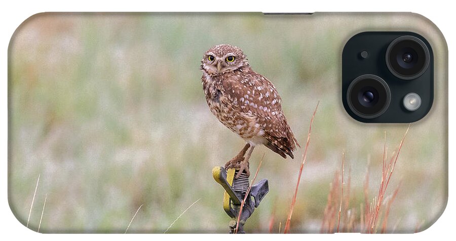 Owl iPhone Case featuring the photograph Burrowing Owl On a Sprinkler by Tony Hake