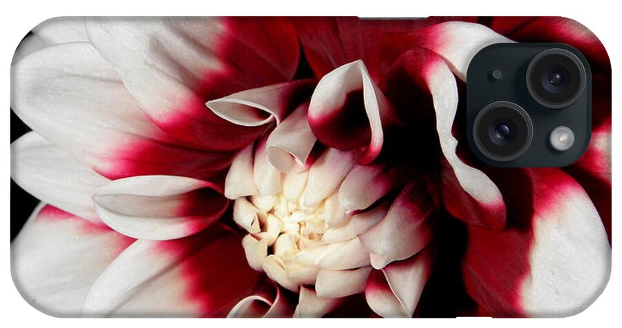 Red iPhone Case featuring the photograph Bursts Of Reds And White by Kim Galluzzo