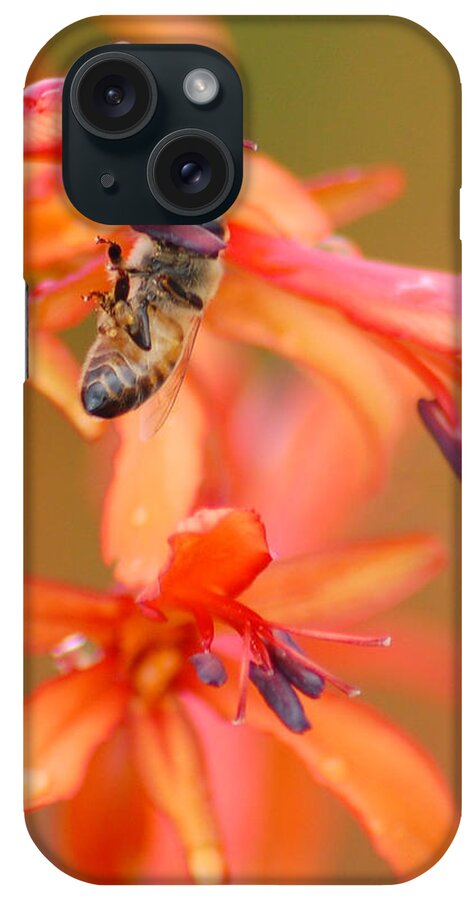 Bee iPhone Case featuring the photograph Busy Bee by Amy Fose