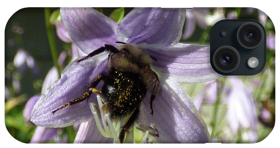 Bee iPhone Case featuring the photograph Busy Bee by Leara Nicole Morris-Clark