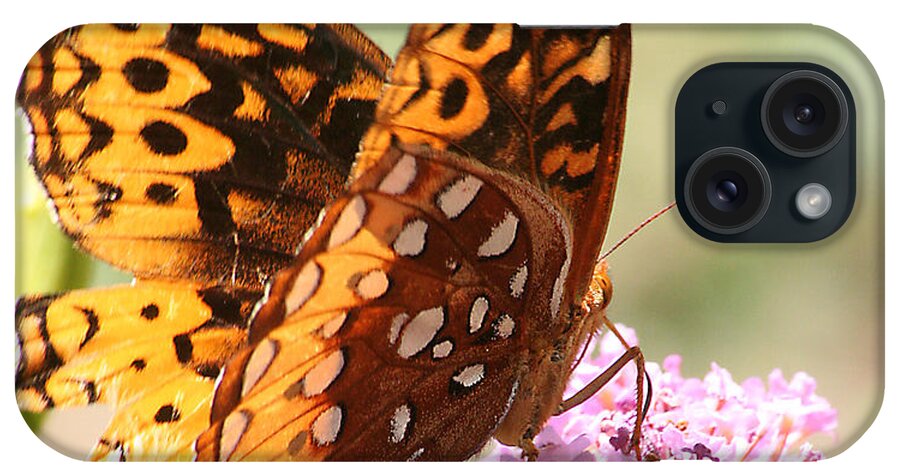  iPhone Case featuring the photograph Butter Fly Thrown Looking Right by Curtis J Neeley Jr