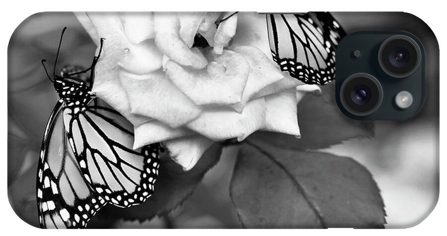 Monarch Butterflies iPhone Case featuring the photograph Butterflies and Rose Black and White by Luana K Perez