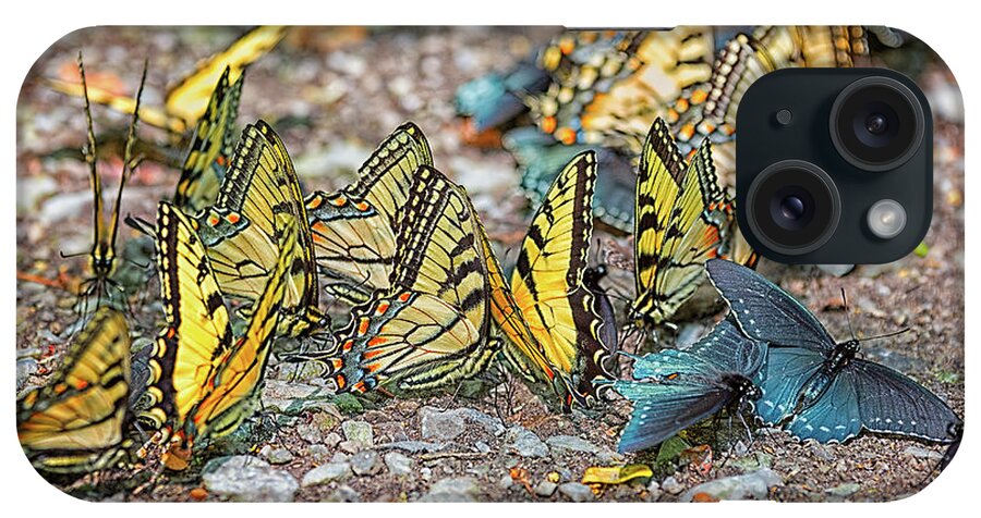 Blount County Tennessee iPhone Case featuring the photograph Butterflies by Victor Culpepper