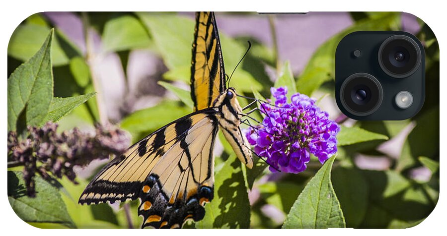 Chita Hunter iPhone Case featuring the photograph Butterfly 1 by Chita Hunter