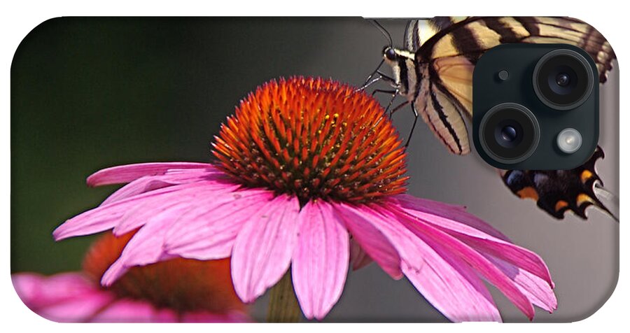 Tiger Swallowtail Butterfly iPhone Case featuring the photograph Butterfly and Coneflower by Byron Varvarigos