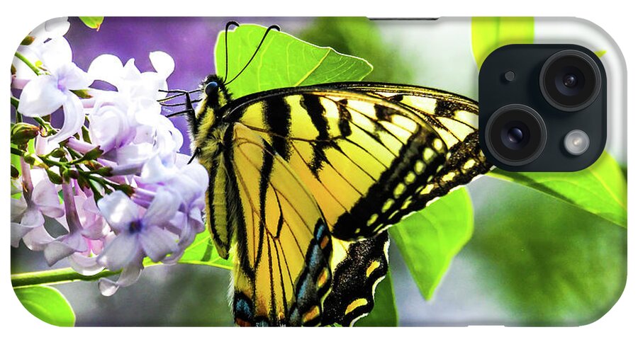 Lilacs iPhone Case featuring the photograph Butterfly and Lilacs by Libby Lord