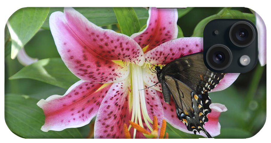 Butterfly iPhone Case featuring the photograph Butterfly and Lilly by David Arment