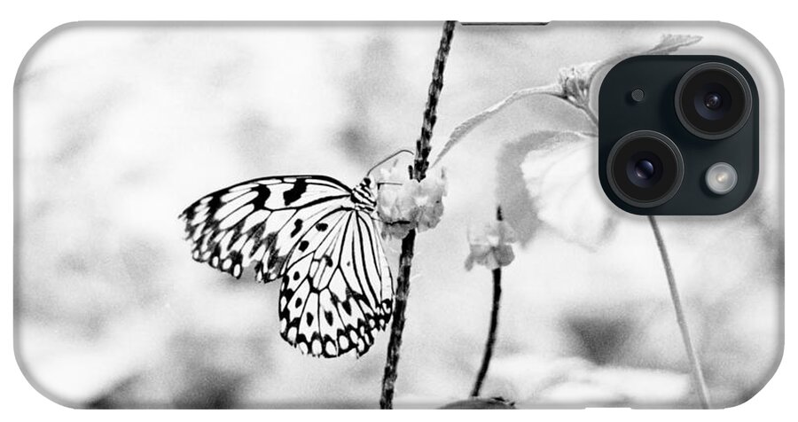 Butterfly iPhone Case featuring the pyrography Butterfly Eatting by Joseph Caban