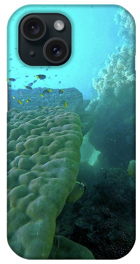 Great Barrier Reef iPhone Case featuring the photograph Butterfly Fish by Debbie Cundy