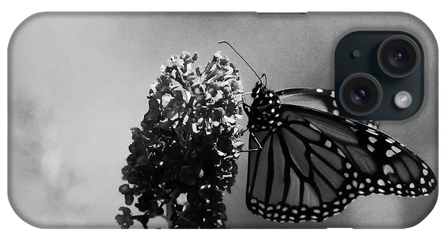 Butterfly iPhone Case featuring the photograph Butterfly in Black and White by Angie Tirado