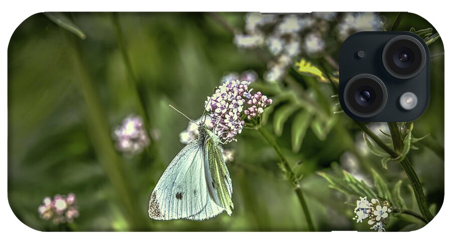 Butterfly iPhone Case featuring the photograph Butterfly in green #g6 by Leif Sohlman
